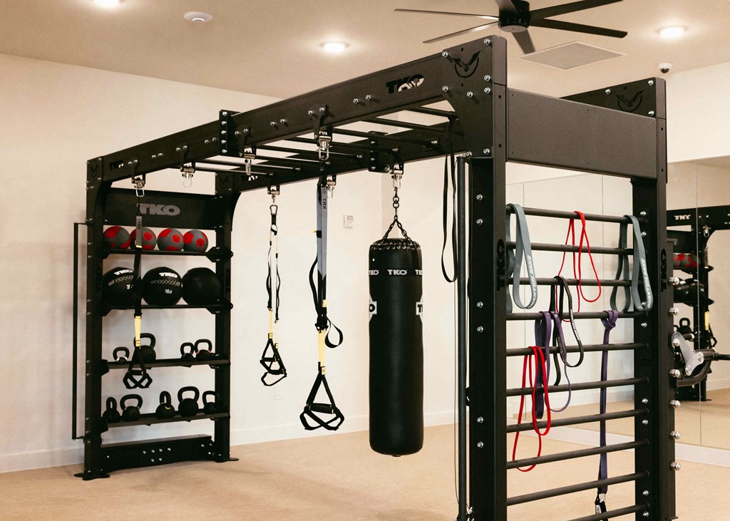 a boxing cage in a home gym with boxing equipment