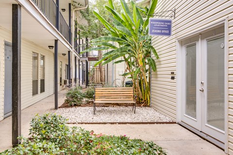 a bench in front of a building with a palm tree