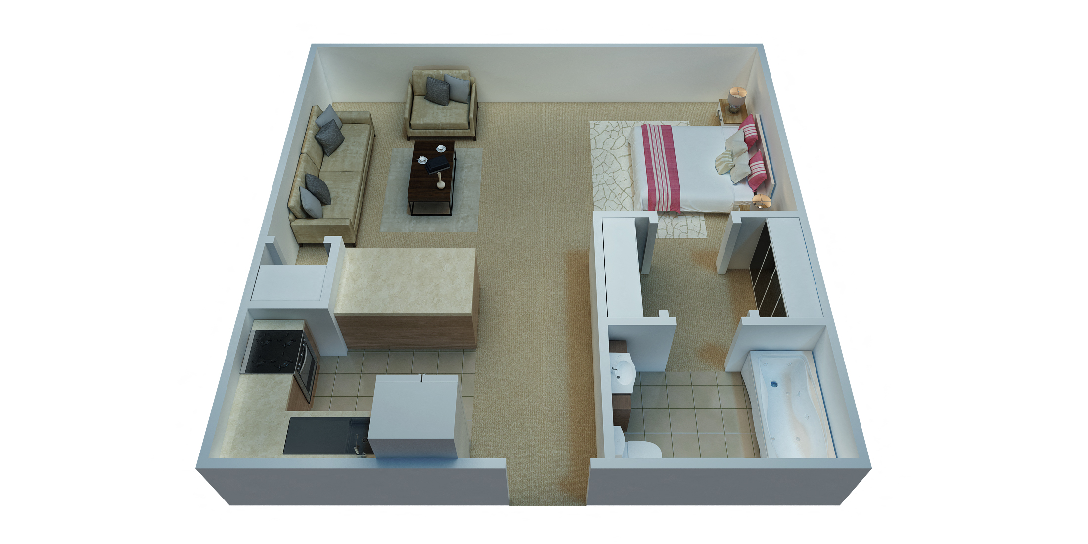 Studio Apartment - 462 Square Feet