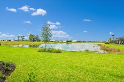 a large pond in the middle of a green field