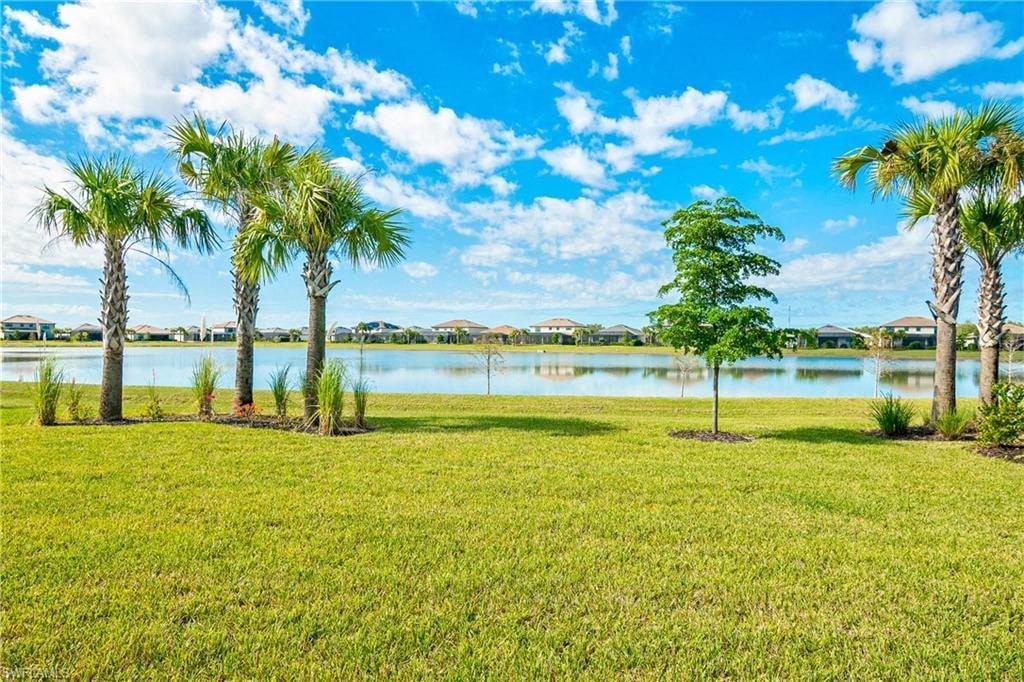 a grassy field with palm trees next to a lake