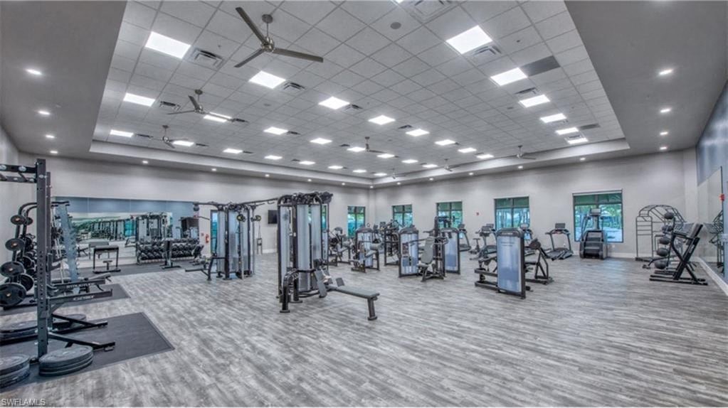 a gym with a lot of weights and cardio equipment in a large room