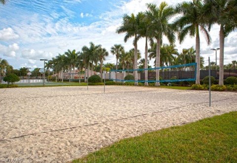 a sandy tennis court with palm trees in the background