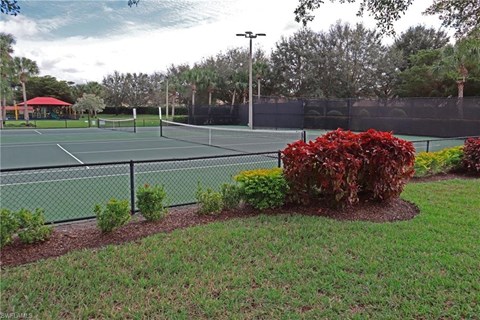 a tennis court with plants and bushes next to it