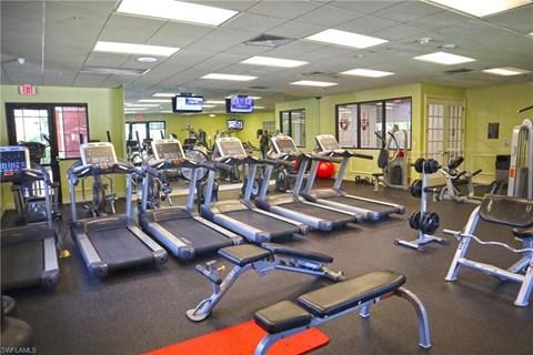 a gym full of cardio equipment and weights