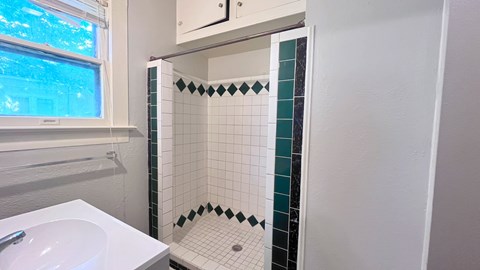 a small bathroom with a shower and a sink