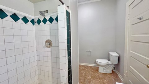 a bathroom with a toilet and a tiled shower