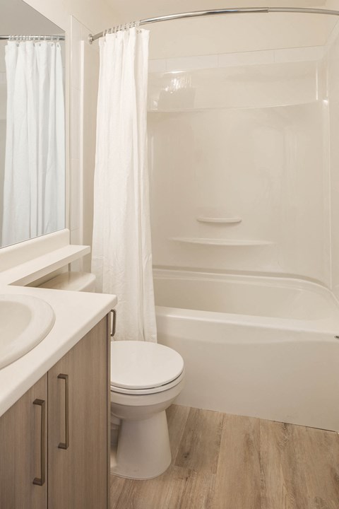 340 Linden Ave Studio-2 Beds Apartment for Rent - Photo Gallery 2