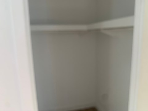 A white closet with a door open.