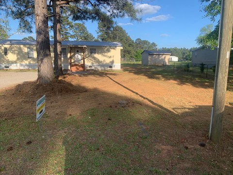 A yard with a tree and a house in the background.