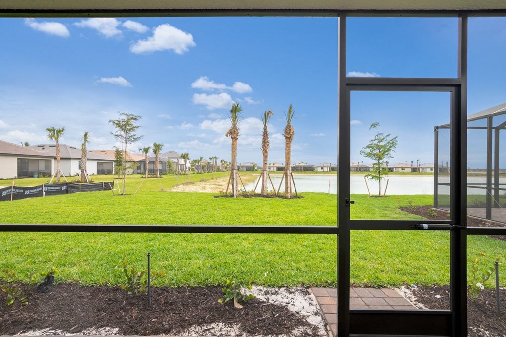 the view of a yard with palm trees from a window
