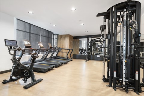 A gym with treadmills, elliptical machines, and weight machines.