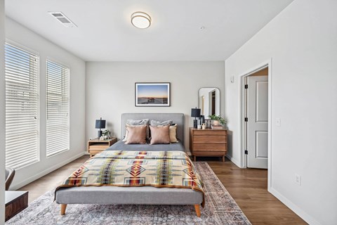 a bedroom with a bed and a closet