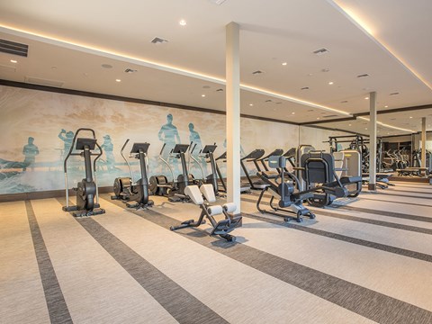 A gym with treadmills and exercise equipment.