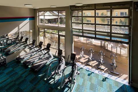 A gym with a row of treadmills and exercise bikes.