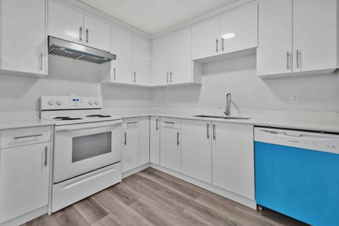 A kitchen with white cabinets and a blue dishwasher.