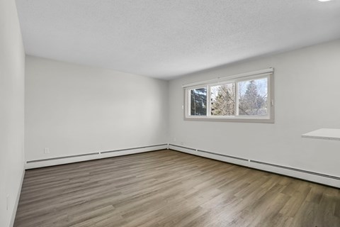 A room with a window showing trees outside.