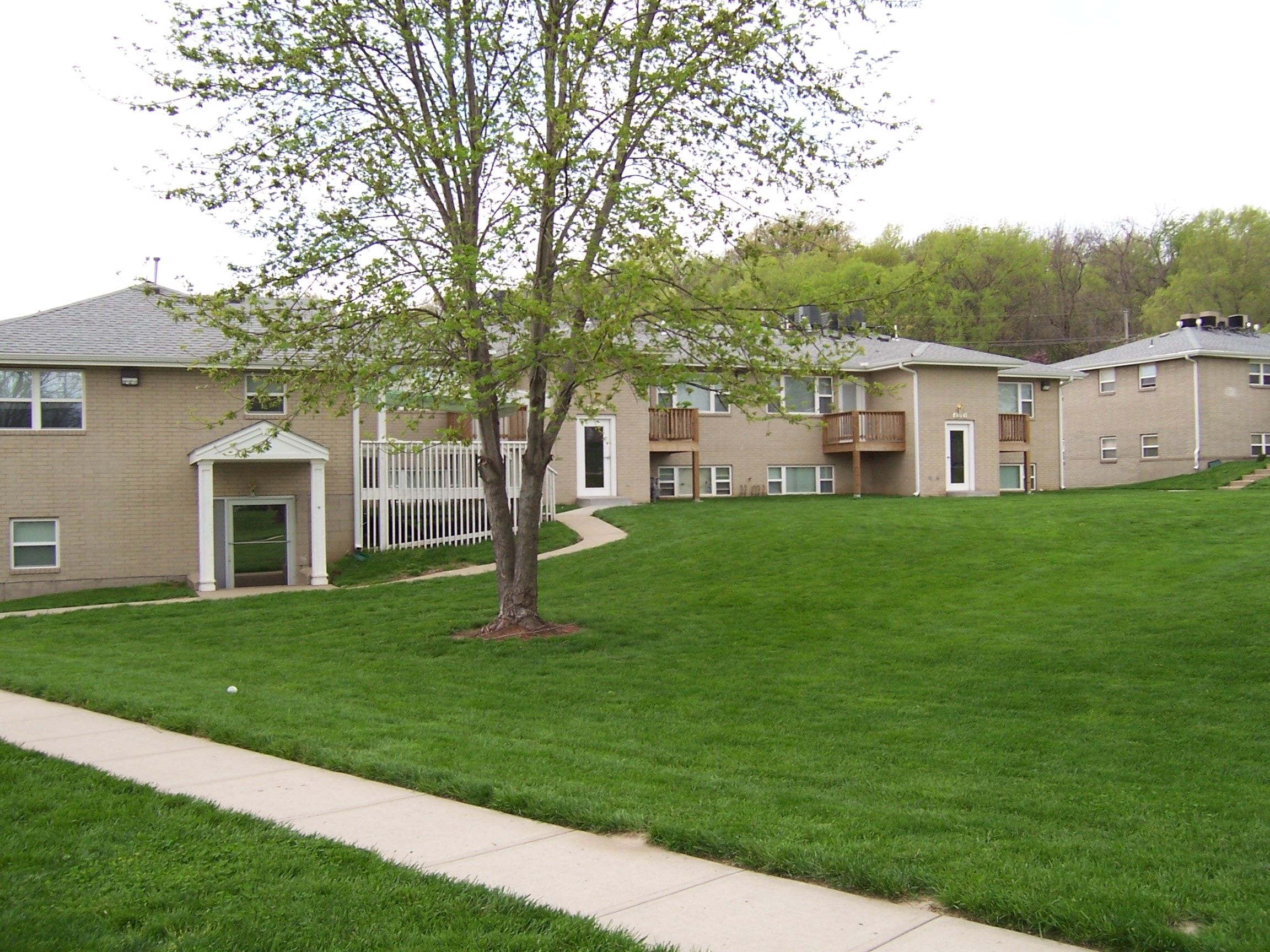 A tree stands in a grassy area in front of apartment buildings.