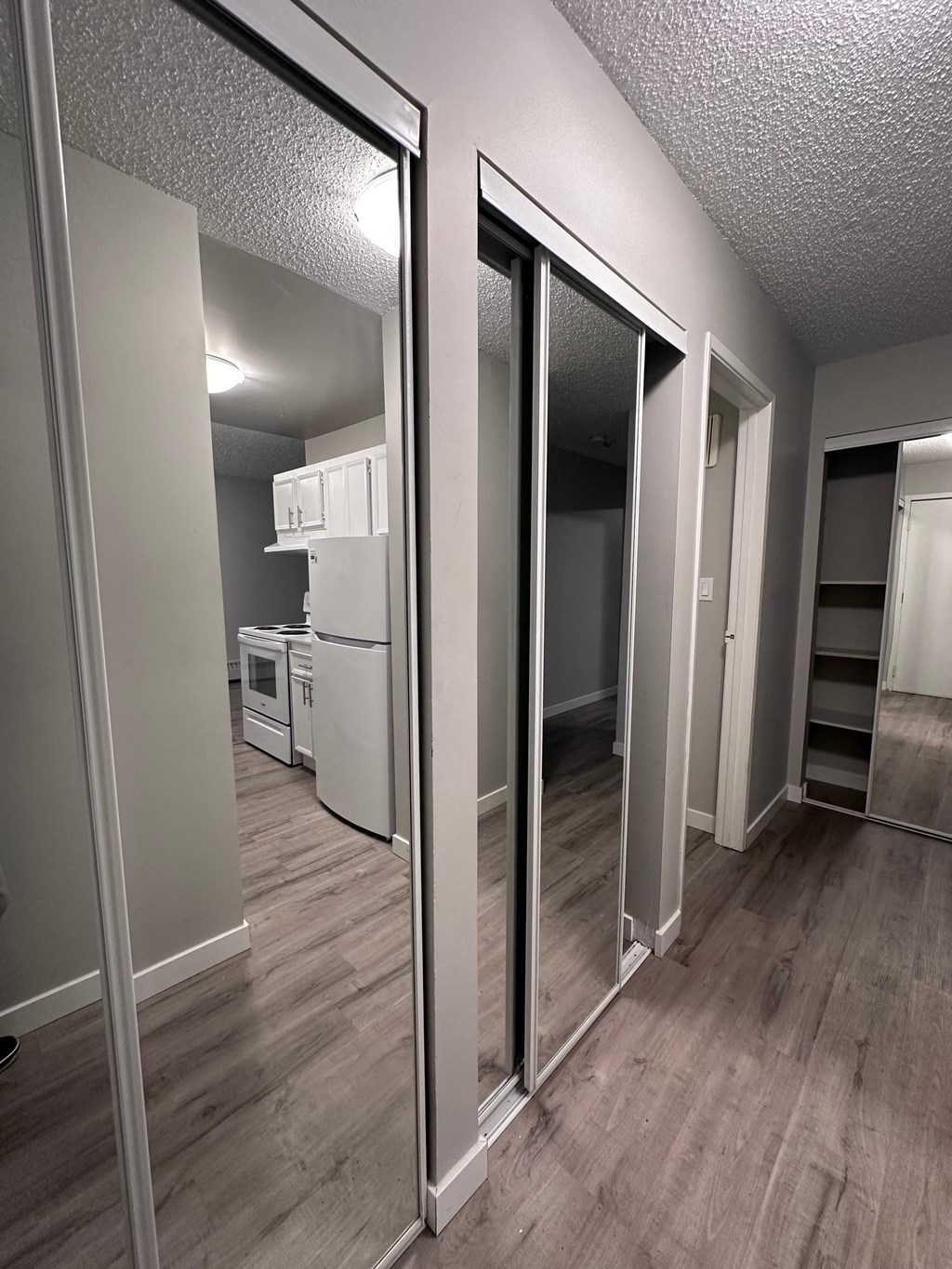 a renovated living room with mirrored doors and a kitchen