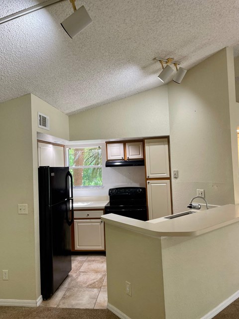 a kitchen with a black refrigerator and a sink