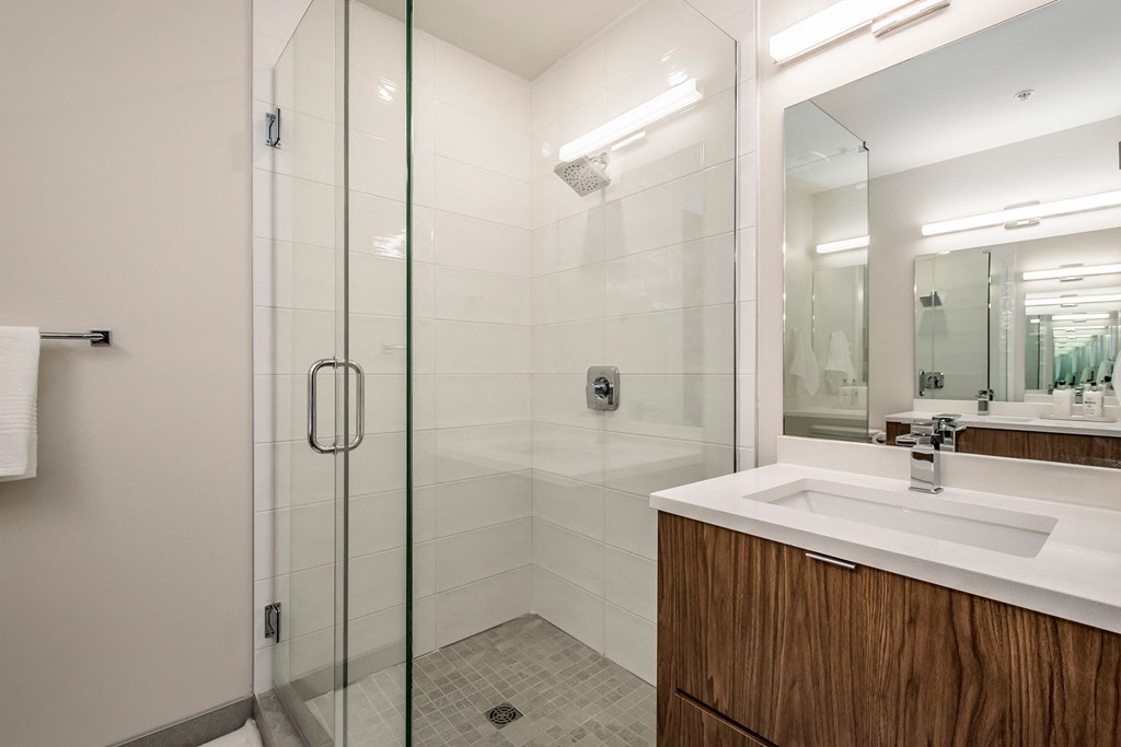 a bathroom with a shower and a sink and a mirror