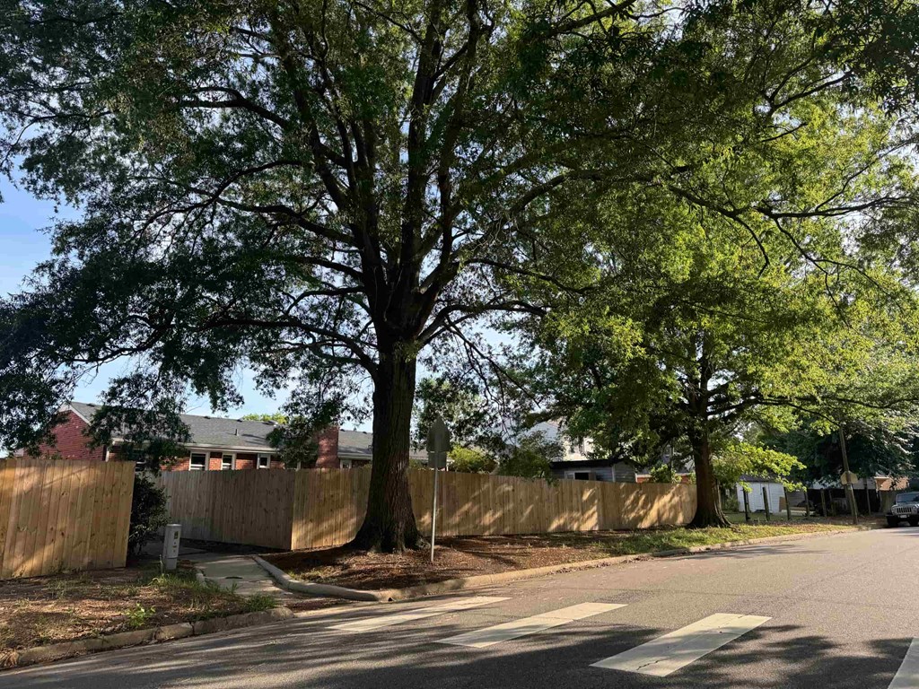 a tree on the side of a street next to a fence