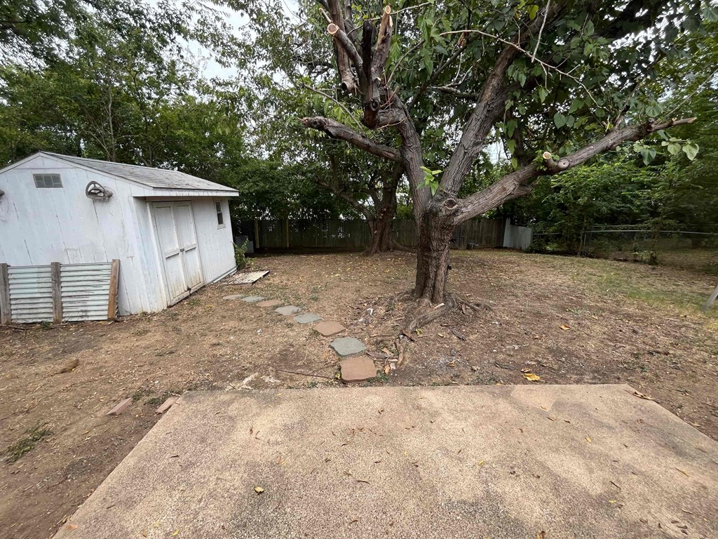 a backyard with a tree and a small white shed