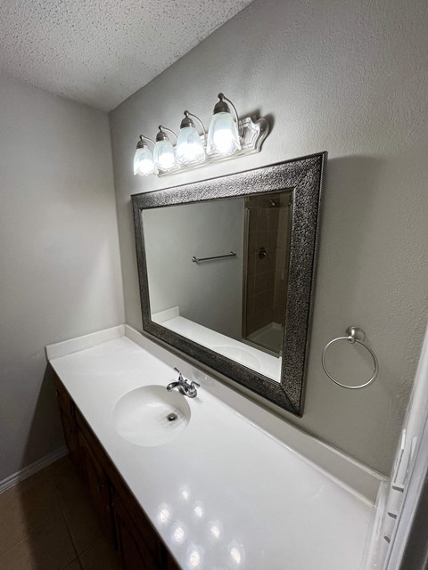 a bathroom with a sink and a mirror