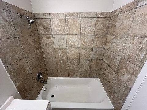 A tiled shower with a white tub and a white toilet.