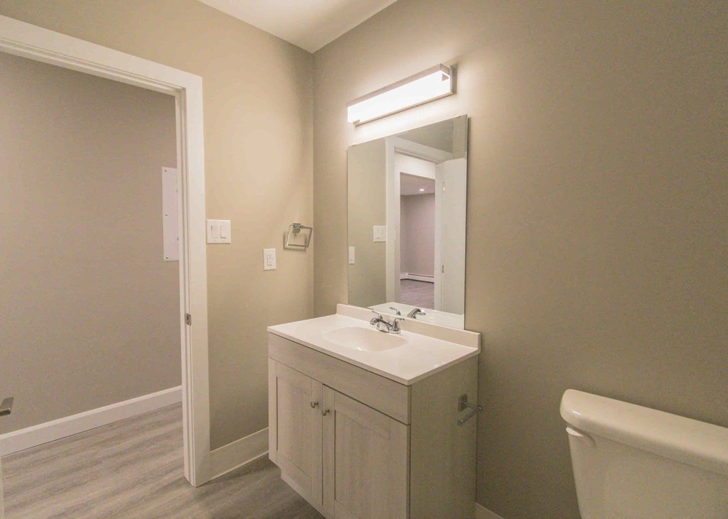 a bathroom with a sink and a mirror and a toilet