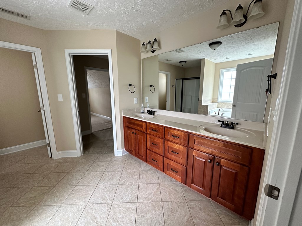 a bathroom with a sink and a large mirror