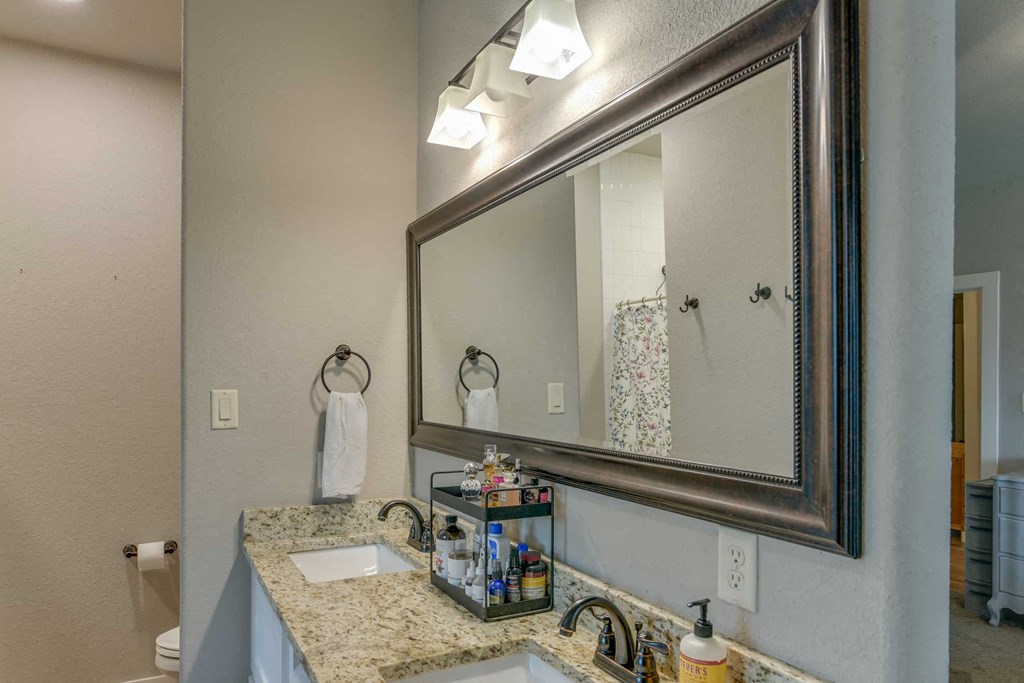 a bathroom with a sink and a large mirror