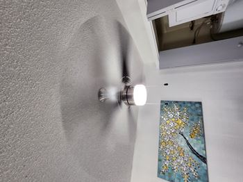 Ceiling Fan