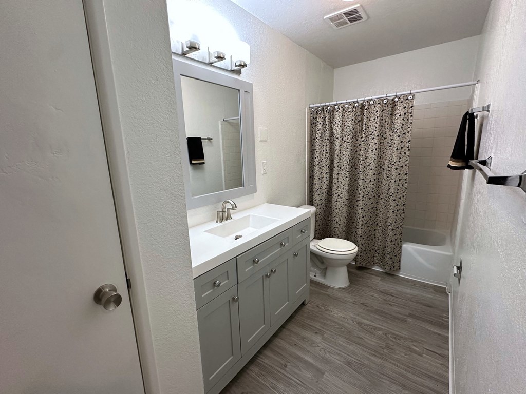 a bathroom with a sink and a toilet