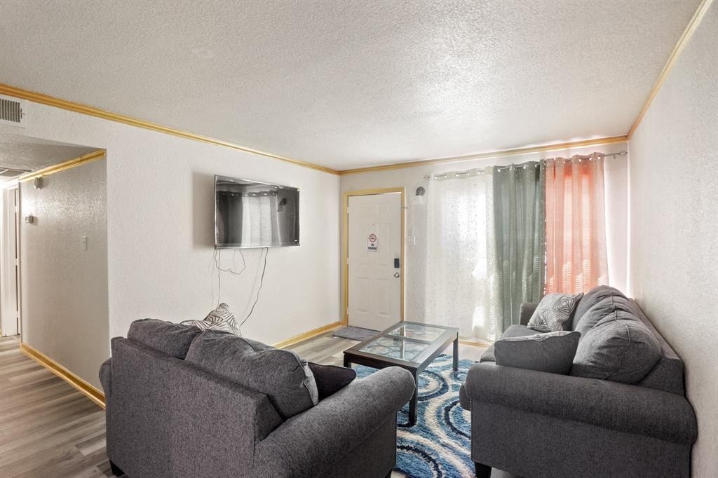 a living room with two couches and a television