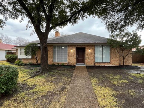 A house with a brick facade and a tree in front.