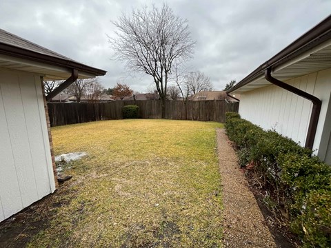 A backyard with a wooden fence and a small tree.