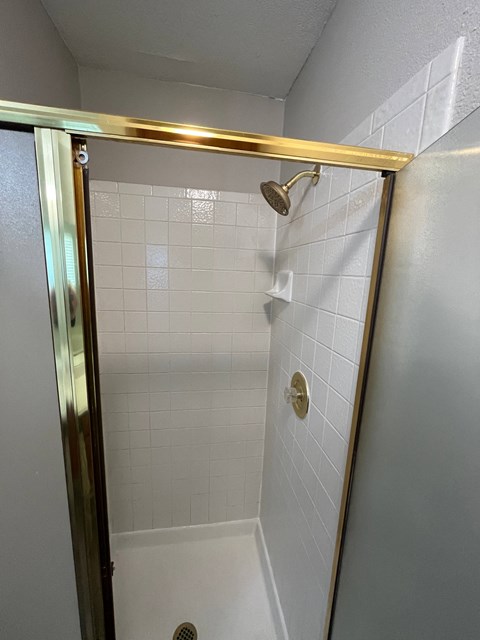 A white tiled shower with a gold shower head and a gold door.