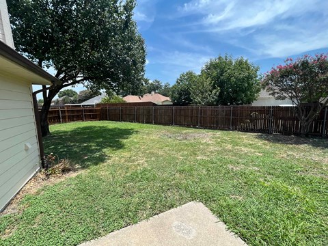 A backyard with a wooden fence and a tree.