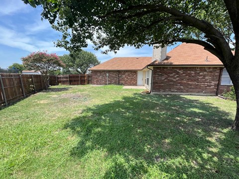 A backyard with a tree, a fence and a house.