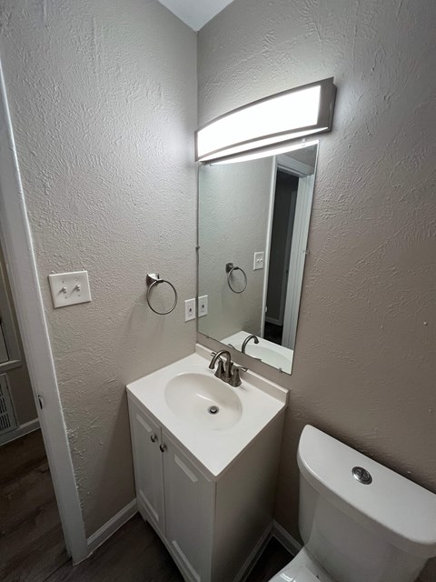 A bathroom with a sink, toilet, and mirror.