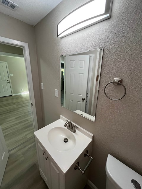 A bathroom with a sink, mirror, and toilet.