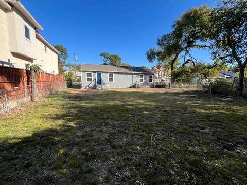 A backyard with a fence, a shed, and a tree.