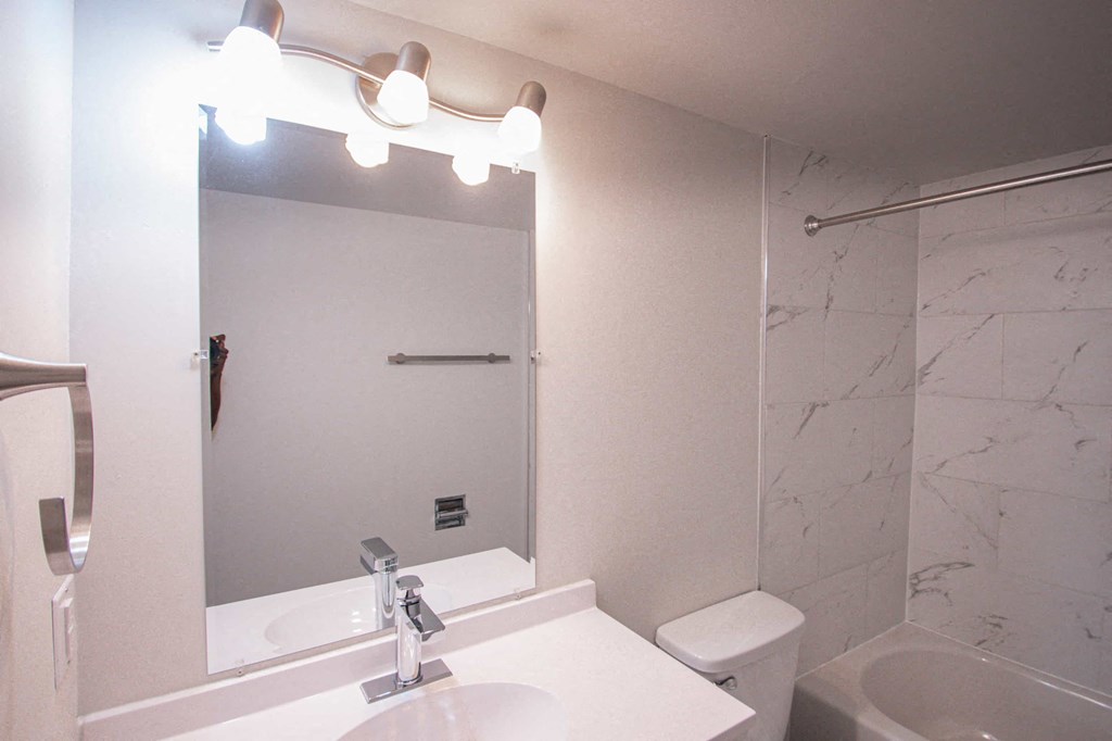 a bathroom with a mirror and a sink and a toilet