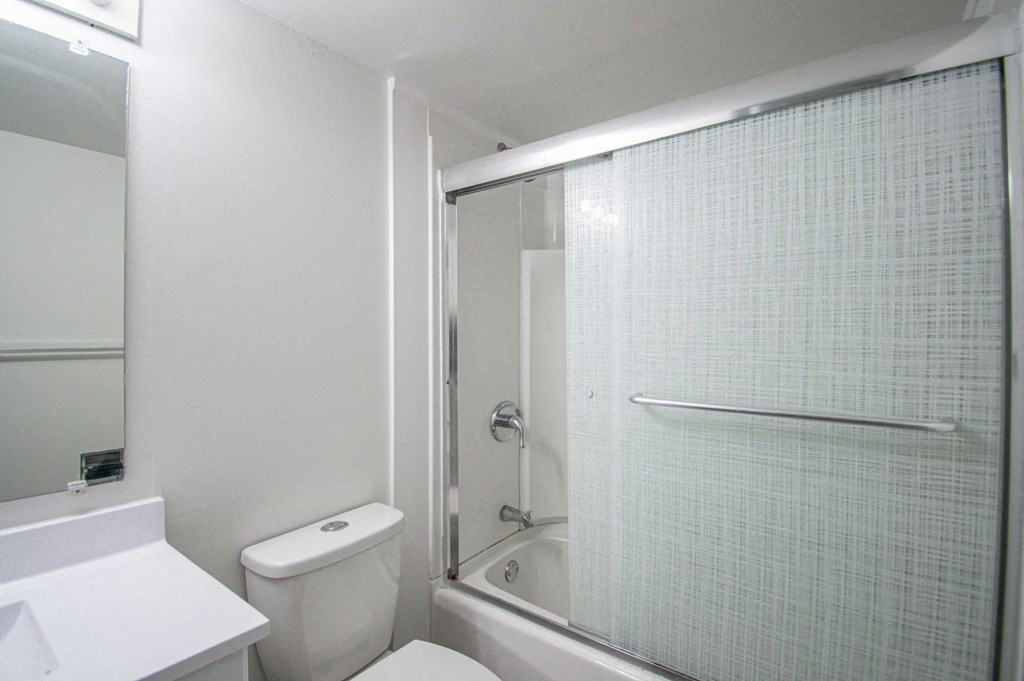 a bathroom with a shower and a toilet and a sink