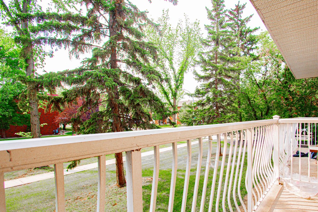 a view of the yard from the balcony