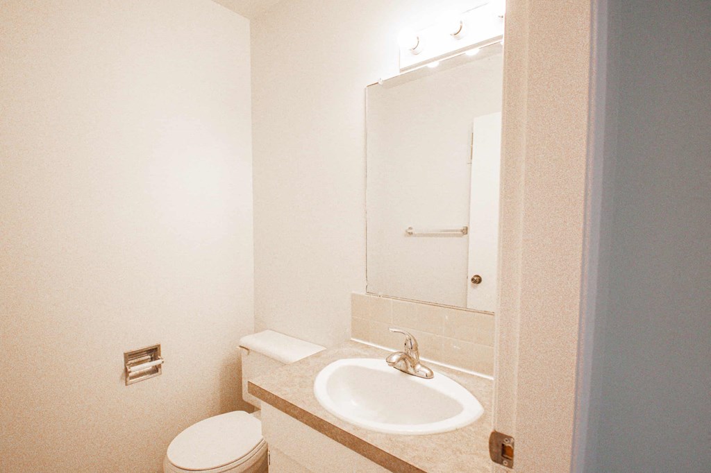 a bathroom with a sink and a toilet and a mirror