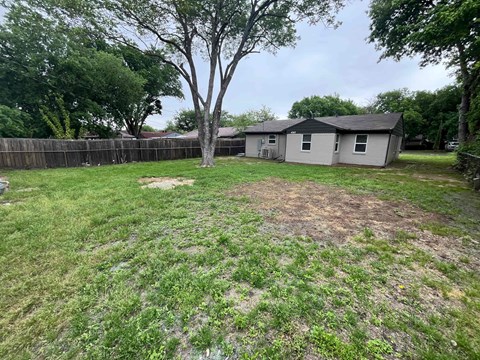 A backyard with a tree and a house in the background.