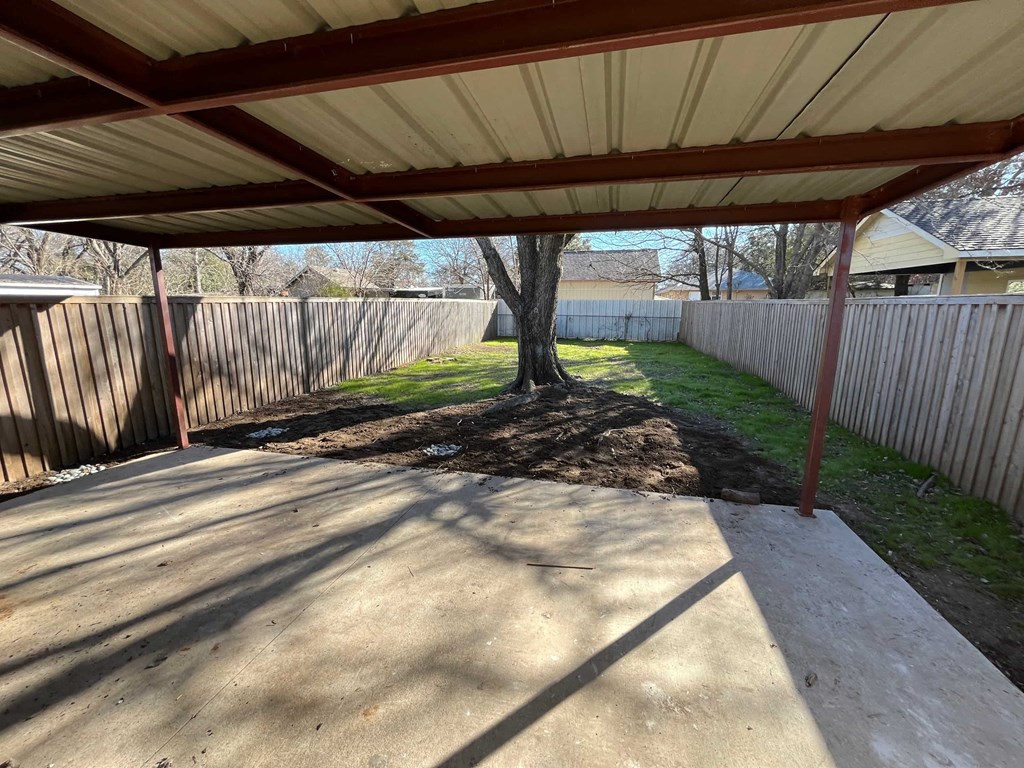 A tree in a backyard under a covered patio.