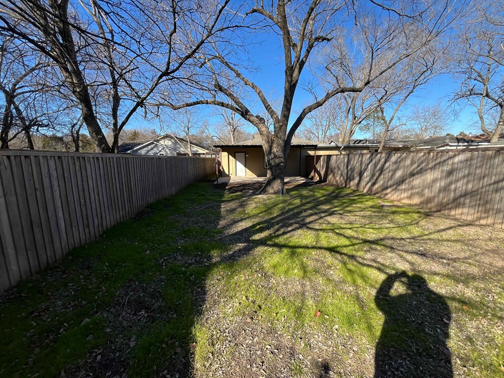 A backyard with a fence and a tree.